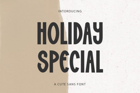 Holiday Special Display Font for Web Design